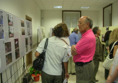 All'interno della mostra (5)