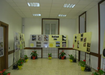 All'interno della mostra (7)